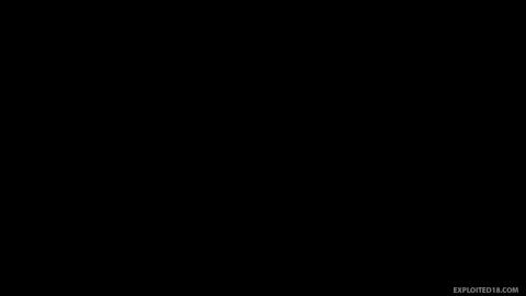 16045