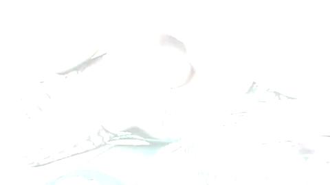 31019